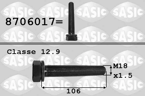 SASIC 8706017