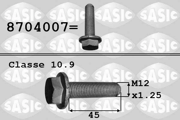 SASIC 8704007