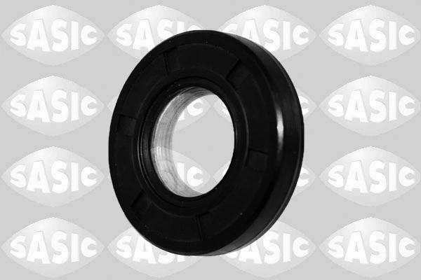 SASIC 1950012