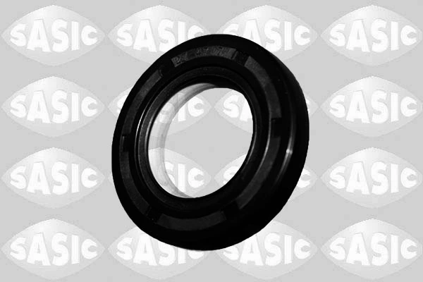 SASIC 1950008