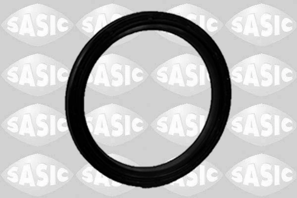 SASIC 1950011