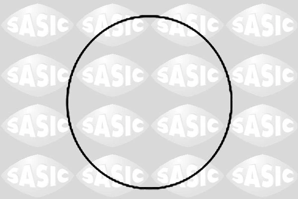 SASIC 1950007