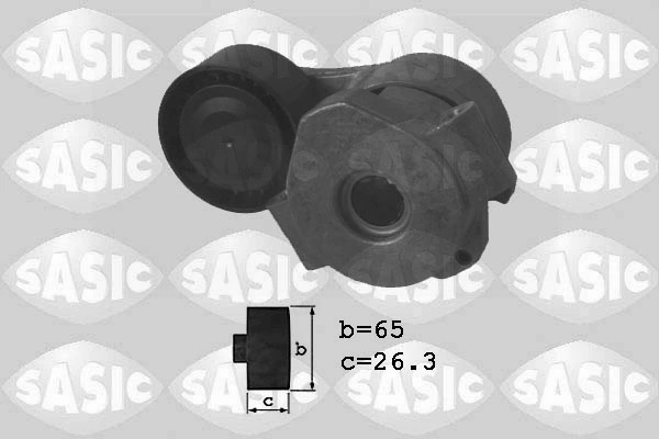 SASIC 1620055