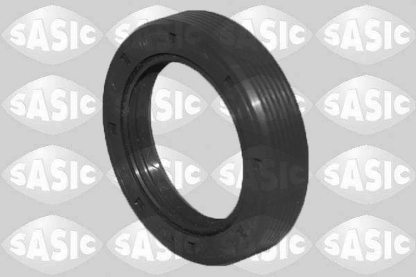 SASIC 1956001