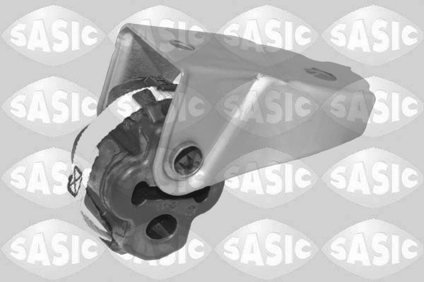 SASIC 2954018