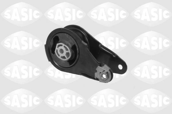 SASIC 2700022