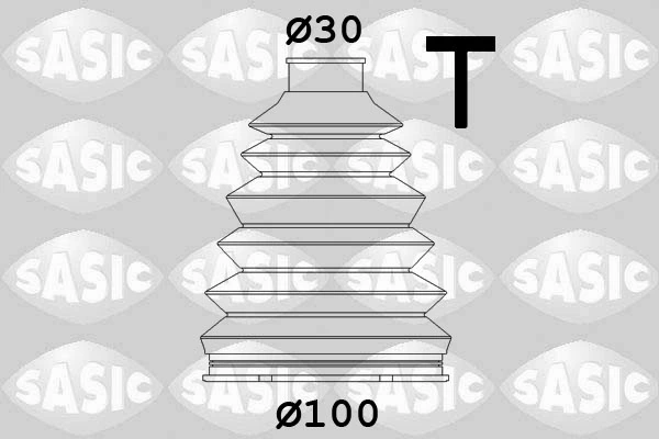 SASIC 1904047