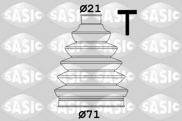 SASIC 1900019