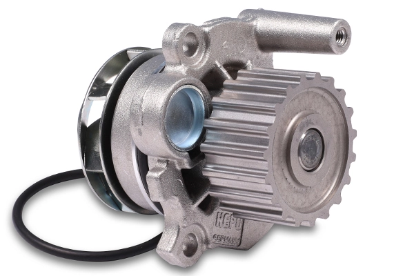 IPD P549