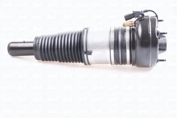 IPD 43-2007
