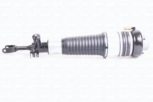 IPD 43-2002