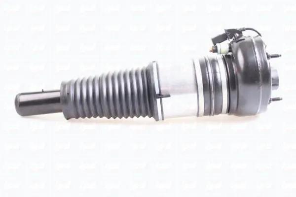 IPD 43-2003