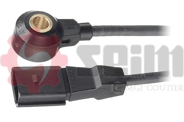 SEIM CC21