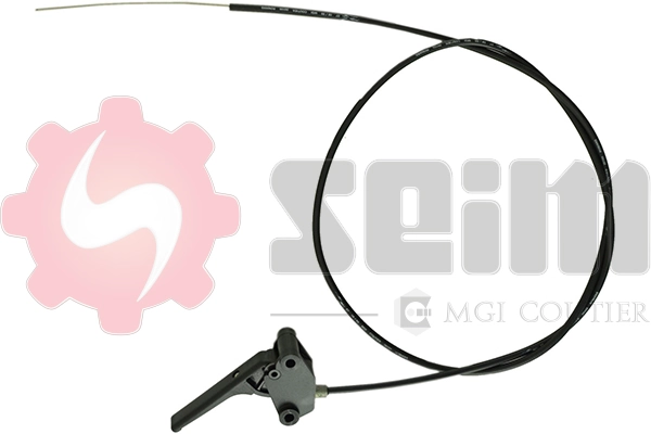 SEIM 062225