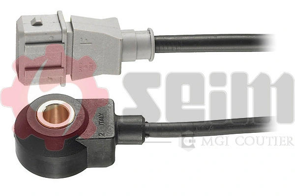 SEIM CC29