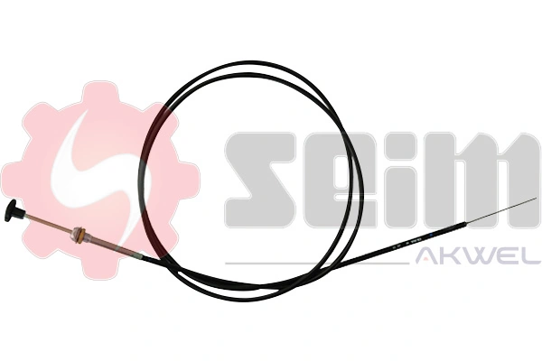 SEIM 250825