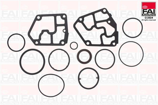 FAI AutoParts CS1011