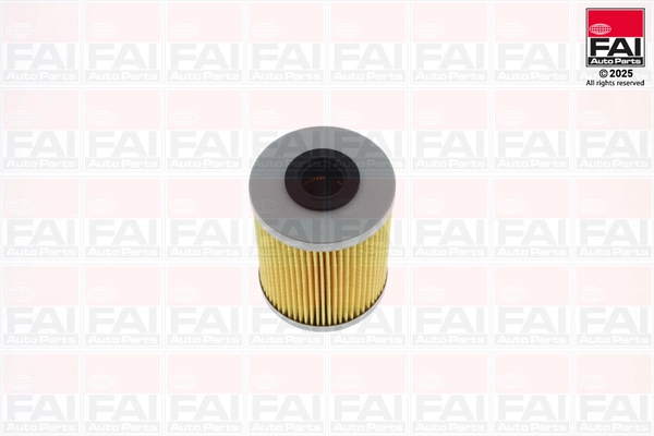FAI AutoParts FF124