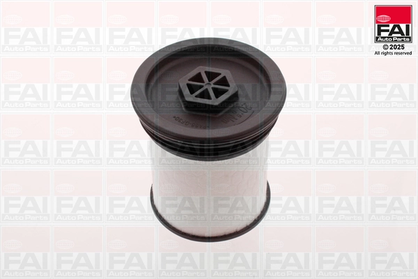 FAI AutoParts FF163