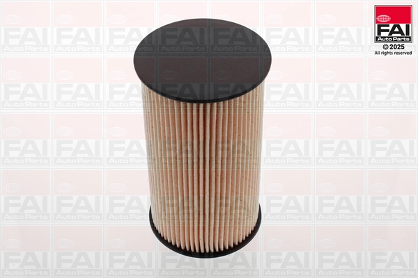 FAI AutoParts FF100