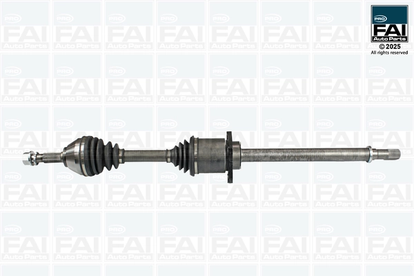 FAI AutoParts FPDS272