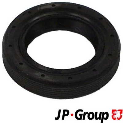 JP GROUP 1132101900