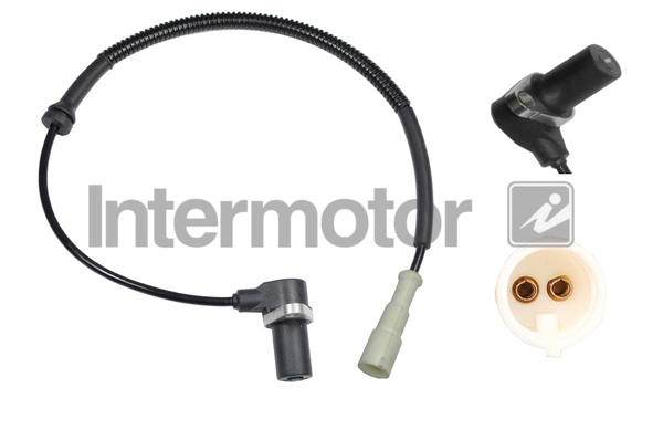INTERMOTOR 60117