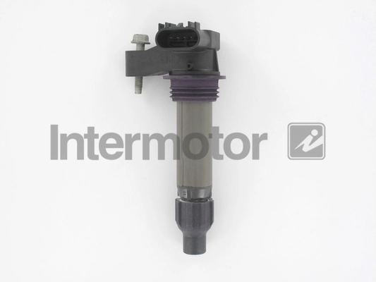 INTERMOTOR 12175