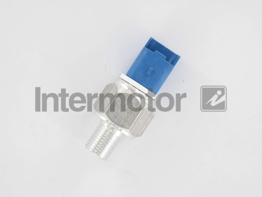 INTERMOTOR 50598