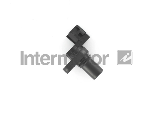 INTERMOTOR 17213