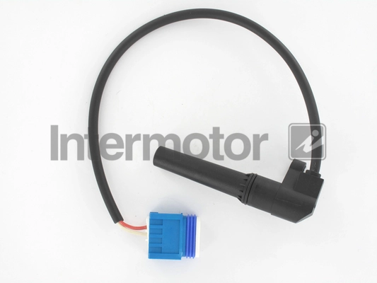 INTERMOTOR 17253