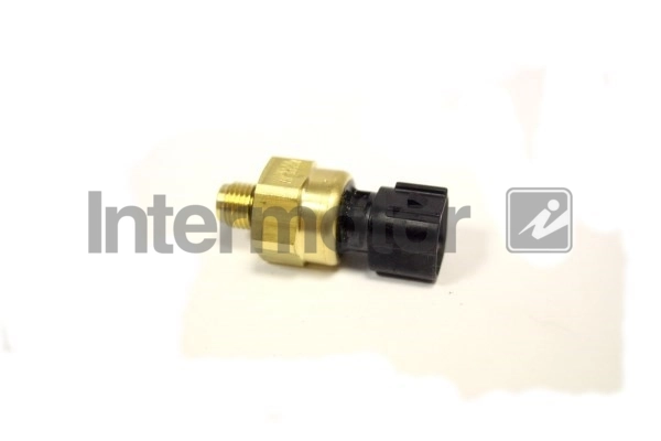 INTERMOTOR 50596
