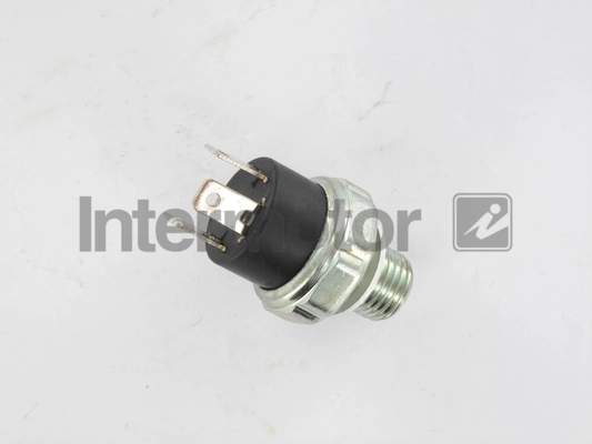 INTERMOTOR 51025