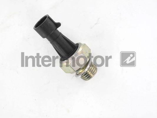 INTERMOTOR 50981