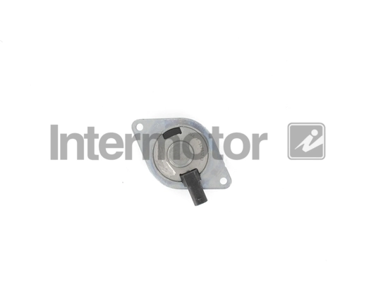INTERMOTOR 17307