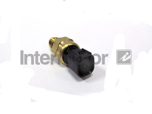 INTERMOTOR 50595