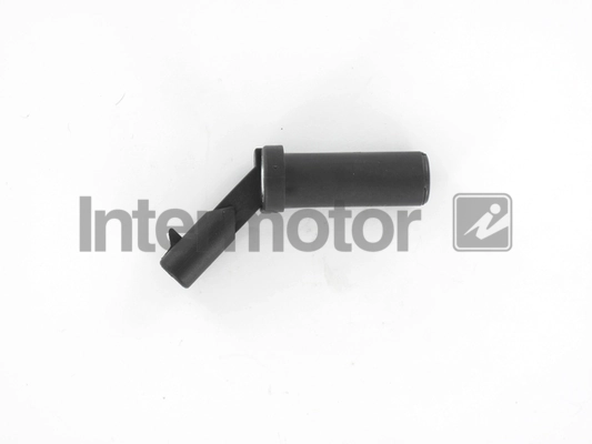 INTERMOTOR 17244