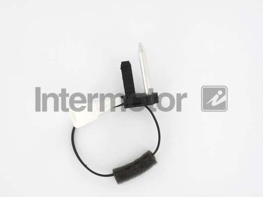 INTERMOTOR 55919