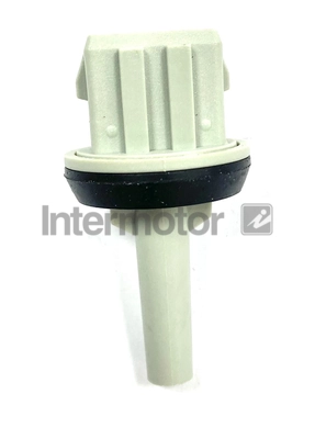 INTERMOTOR 55906