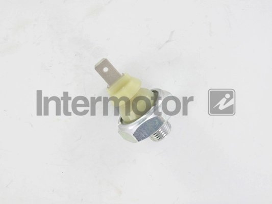 INTERMOTOR 50960