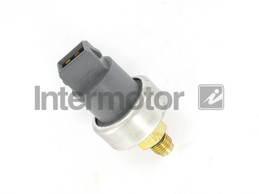 INTERMOTOR 51039