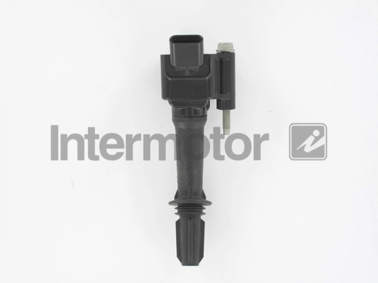 INTERMOTOR 12176