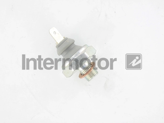 INTERMOTOR 51031