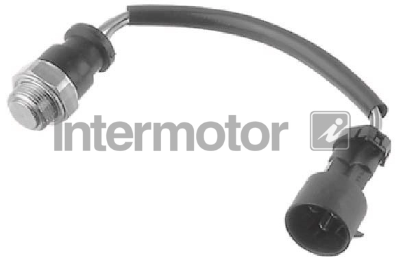 INTERMOTOR 50199