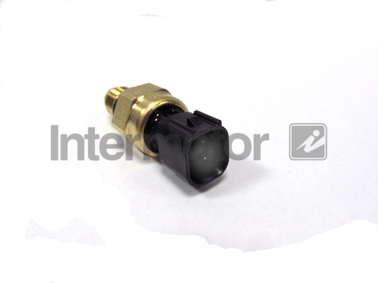 INTERMOTOR 50597