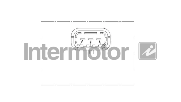 INTERMOTOR 19021
