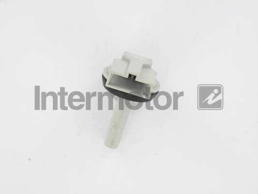 INTERMOTOR 55907