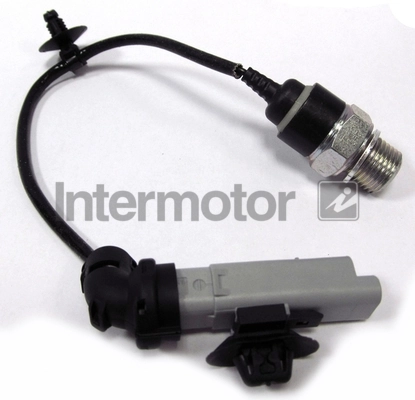 INTERMOTOR 50924
