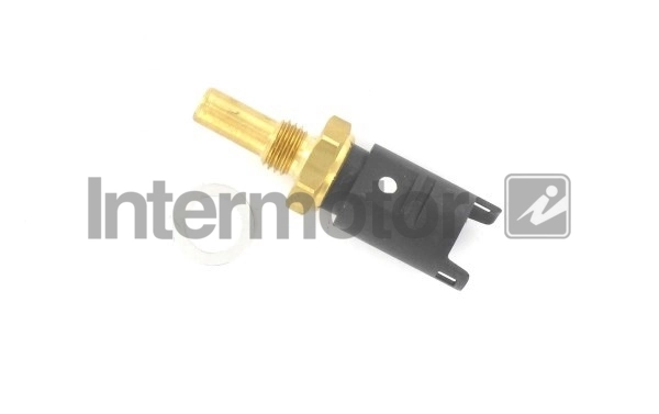 INTERMOTOR 55173