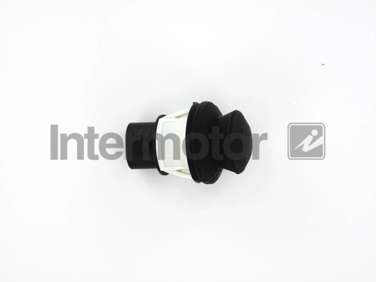 INTERMOTOR 51831